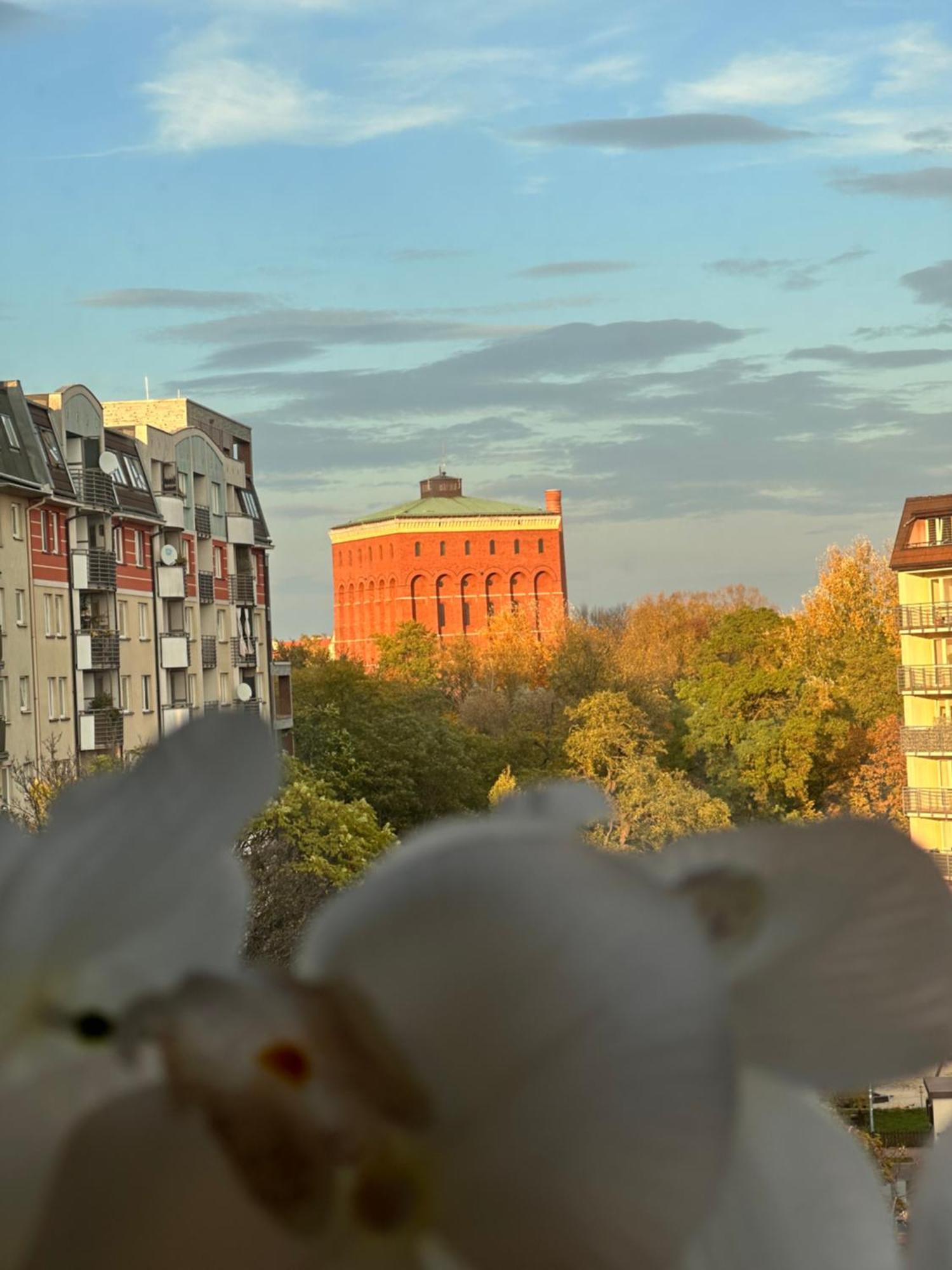 Apartament Diana - Traugutta Вроцлав Экстерьер фото